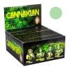 SNAIL Coloured King Size Slim Papers & Tips CannaKlan green