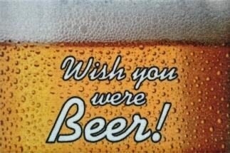 Fussmatte Wish you were Beer Türvorleger Fußabtreter Bier
