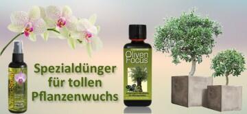 Spezialdünger für Orchideen und Olivenbäume